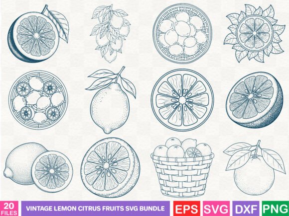 Vintage Lemon Citrus Fruits SVG Bundle